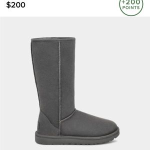 Tall Ugg boots still in good condition!